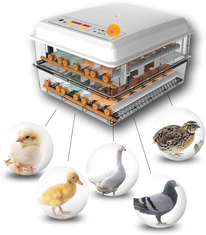 Digital Incubatores,Egg Incubator with Automatic Turning Function, Digital Automatic Hatcher with Temperature Control,for Egg Duck Egg Bird Egg Turkey Eggs Home, White-36 Egg