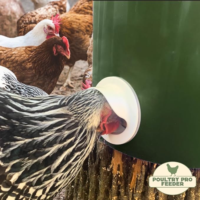 The Original Poultry Pro DIY Chicken Feeder | 3 Ports Poultry Feeders for Chicken Coop | Use for Buckets & Bins | Rain Proof, Weather Resistant - Original Feeder 3-Pack with Hole Saw
