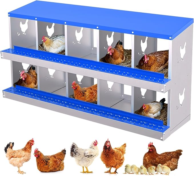 10-Compartment Chicken Nesting Box with Removable Tray - Metal Laying Boxes for Hens - Egg Rollaway Design, Wall Mount Farm Fresh Egg Collector, Hen Roosting Boxes for Chicken Coops