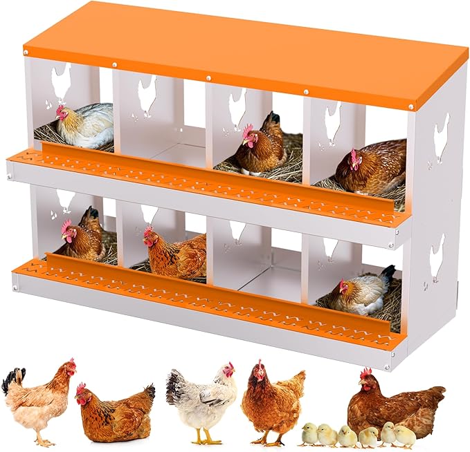 8-Compartment Chicken Nesting Box with Removable Tray - Metal Laying Boxes for Hens - Egg Rollaway Design, Wall Mount Farm Fresh Egg Collector, Hen Roosting Boxes for Chicken Coops