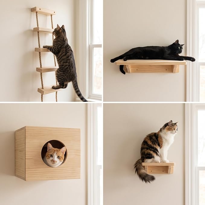with Shelves for Climbing and Play, Large Jumping Platform