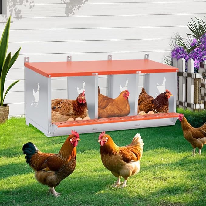 Wall-Mounted Metal Nesting Box for Chickens and Ducks – Galvanized Steel Construction with Ventilation & Easy Egg Access (3-Orange)