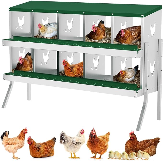 Chicken Nesting Box, Green 10 Hole Egg Laying Box with Bracket, Suitable for Chickens & Ducks, Large Holes for Ventilation, Convenient for Picking up Eggs, Fully Galvanized