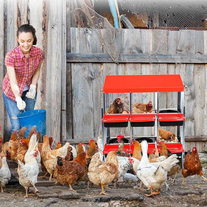 Chicken Nesting Box,Nesting Boxes for Chickens,Roll Away Nesting Boxes,6 Hole 2 Layer Hen Nest Boxes with Legs,Chicken Nesting Boxes,Easy Egg Collection,Cleanable Pull Out Hen Roosting Boxes