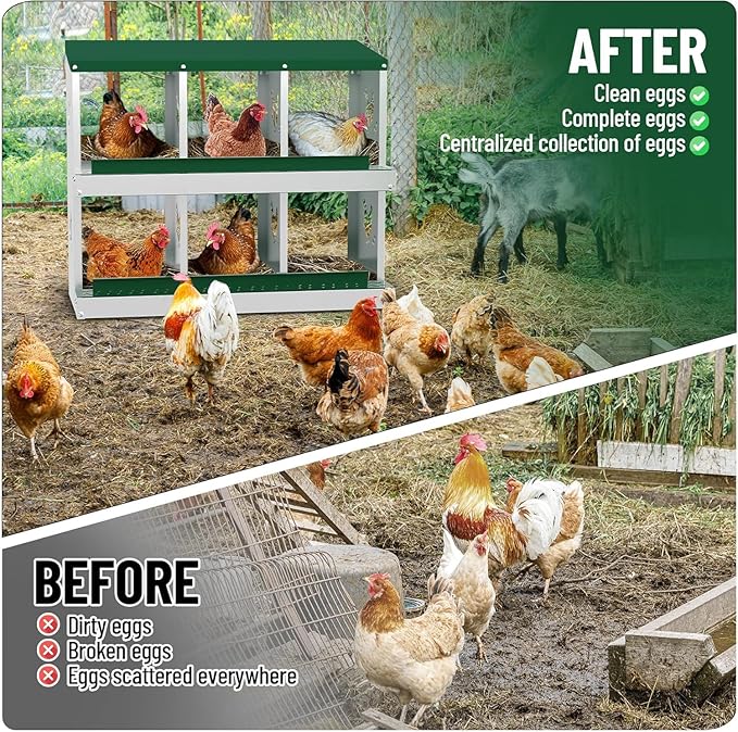 TrailBlaze Metal Chicken Nesting Boxes, Chicken Egg Laying Box with 6 Compartments, Large Vented Holes Chicken Coop with Rollout Egg Collection, Wall Mount Coops for Chickens, Hens (Green)