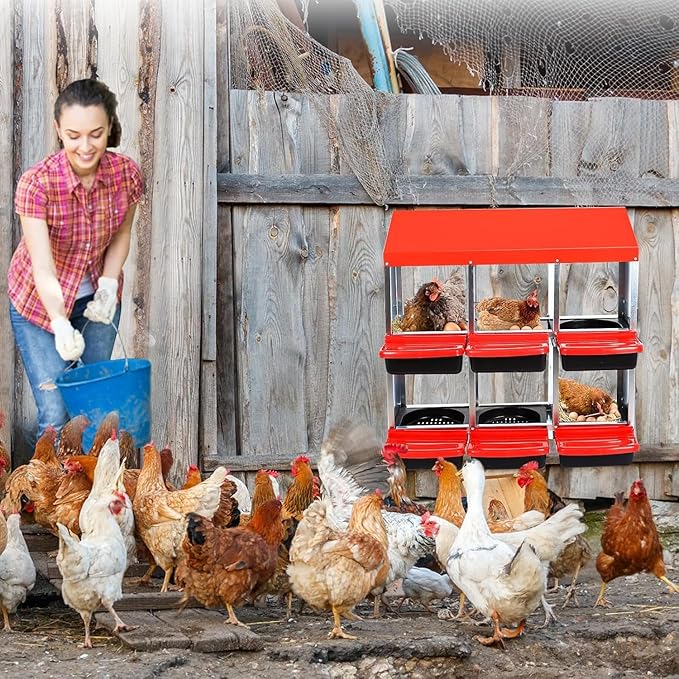 Metal Nesting Box for Chickens (6 Holes) - Heavy Duty Galvanized Steel Hen Laying Box, Outdoor Poultry Nest for Hens, Farm & Ranch Poultry Habitat Supplies