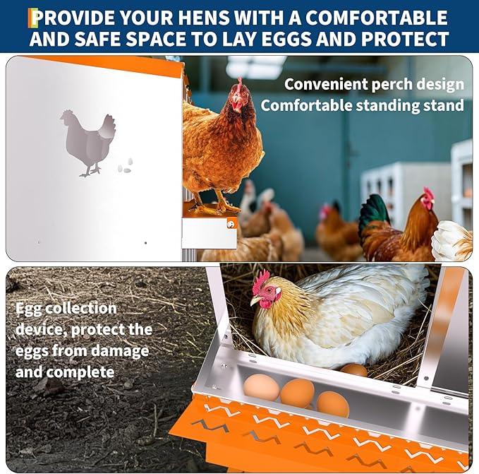 Chicken Nesting Box,10 Compartments Galvanized Steel Metal Chicken Laying Box with Roll Out Egg Collection,Wall Mount Chicken Nesting Boxes,Easy Egg Collection, Hen Roosting Boxes