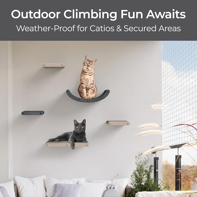 Wall Mounted Cat Shelves (Set of 4) by Pryde Pets - 100% Sustainable PET Felt Feline Enrichment Climber Furniture for Small & Large Indoor Cats, Modern Climbing Gym Jungle Design (Charcoal)