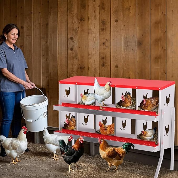 TrailBlaze 10 Compartment Chicken Nesting Box with Metal Legs, Chicken Egg Laying Boxes with Rollout Egg Collection, Large Vented Holes Chicken Coop for Chickens, Hens (Red)