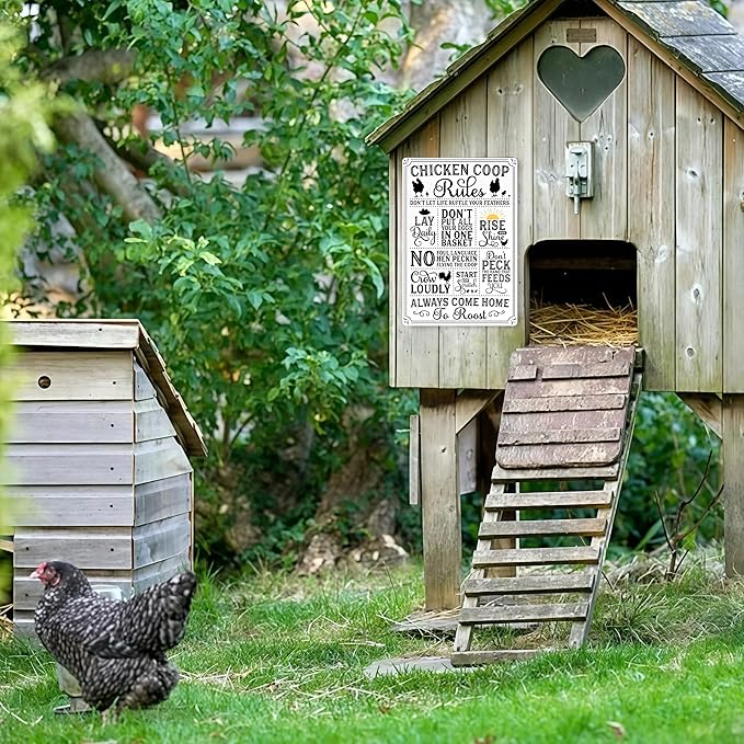 Funny Chicken Gifts Chicken Coop Rules Tin Sign for Home Farm Chicken Coop Farmhouse Kitchen Garden Decor 8 X 12 Inch (3720)