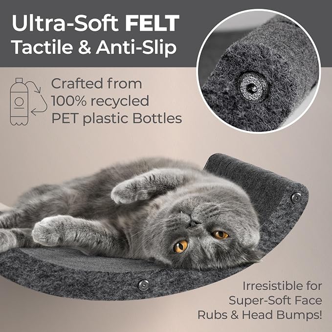 Wall Mounted Cat Hammock Bed by Pryde Pets - Floating Perch Curved Shelf, 100% Sustainable PET Felt Feline Enrichment Climber Furniture for Indoor Cats, Modern Climbing Gym Jungle Design (Charcoal)