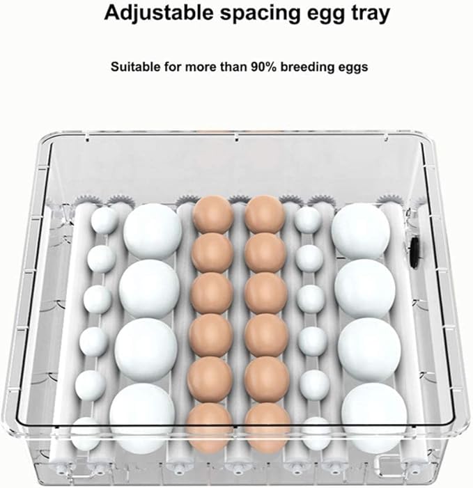 Digital Automatic Hatcher,Egg Incubator with Automatic Turning Function, with Temperature Control,Digital Incubatores,Or Hatching Chickens Ducks Eggs, Goose Egg,