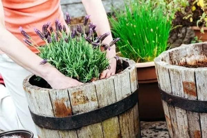 Gardenera Organic Moisture Control Potting Mix - Absorbs 33% More Water Than Basic Potting Soil - 4 Quart