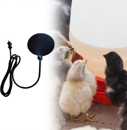 Bird Bath Heater, Chicken Water Heating for Outdoors Heavy Duty US Plug Silicone Rubber for Patio Yard Duck Winter,30W