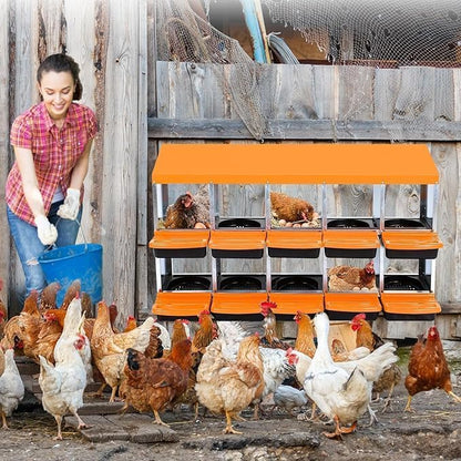 [10-Pack] Chicken Nesting Boxes for Hens - Galvanized Steel Wall Mount or Freestanding Chicken Nest, Removable Plastic Egg Tray & Ventilation Holes - Poultry Nesting Boxes for Egg Laying (Orange)