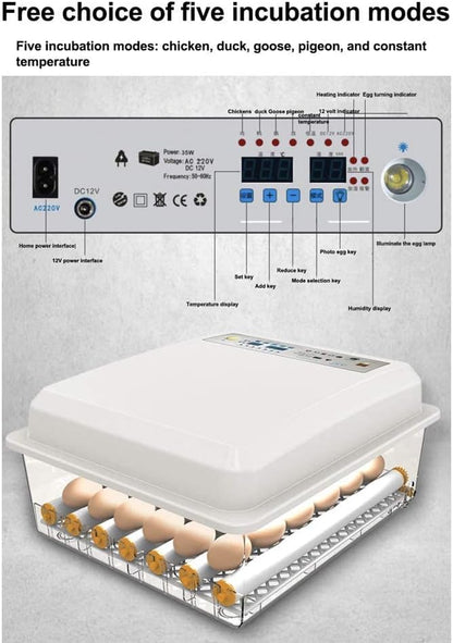 Digital Incubatores,Egg Incubator with Automatic Turning Function, Digital Automatic Hatcher with Temperature Control,for Egg Duck Egg Bird Egg Turkey Eggs Home, Blue-16 Egg