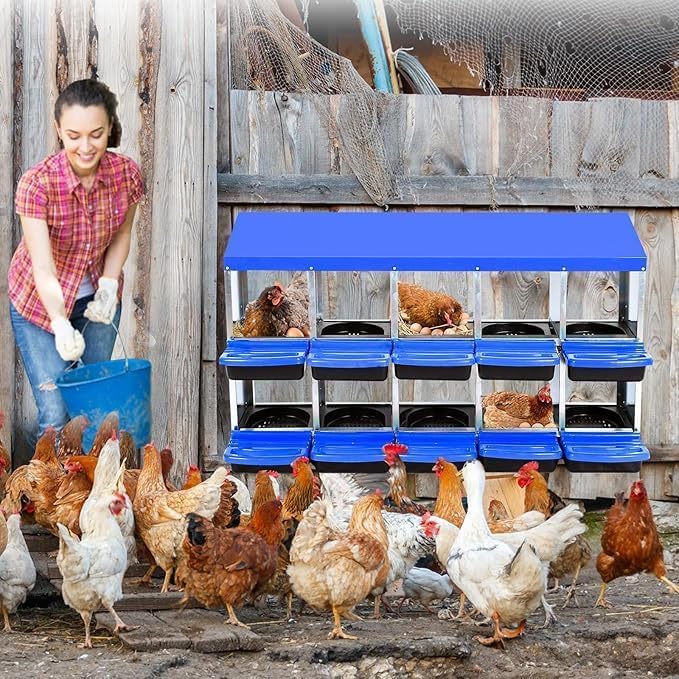 [10-Pack] Chicken Nesting Boxes for Hens - Galvanized Steel Wall Mount or Freestanding Chicken Nest, Removable Plastic Egg Tray & Ventilation Holes - Poultry Nesting Boxes for Egg Laying (Blue)
