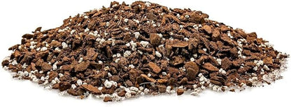 Premium Monstera Borsigiana Potting Mix - Retains Moisture and Promotes Root Growth by Gardenera - 5 Quart