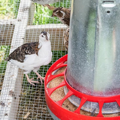 Premier 1 Galvanized Cone Feeder for Chickens & Poultry - 22 lb Capacity (Feeder Kit)