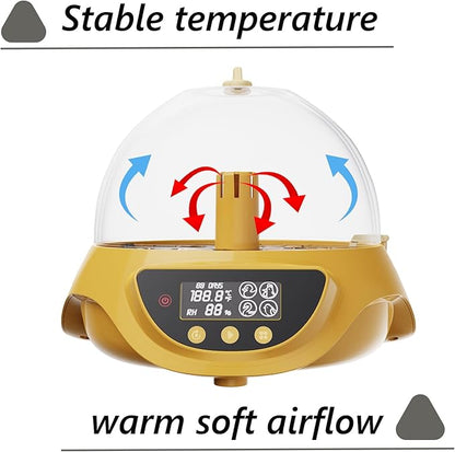 Quail Incubator with Automatic Egg Turning,8 Eggs, Smart Temperature Control, 360°View, Air Vent Circulated, Auto Mini Small Egg Incubator for Hatching Quail Bird Parrot Reptile