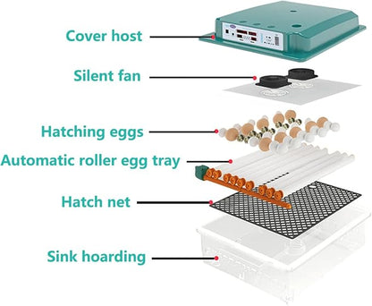 Egg Incubator, 12 Egg Incubator Digital with Temperature Control and Automatic Turning Chicken Poultry for Duck Goose Quail