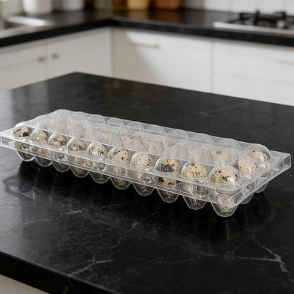 Kisangel 30pcs 30 Grids Clear Quail Egg Carton - Small Plastic Quail Egg Storage Holder with Lid - Reusable Dispenser Holder for Small Pigeon Pheasant Egges