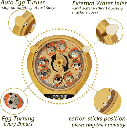 Quail Incubator with Automatic Egg Turning,8 Eggs, Smart Temperature Control, 360°View, Air Vent Circulated, Auto Mini Small Egg Incubator for Hatching Quail Bird Parrot Reptile