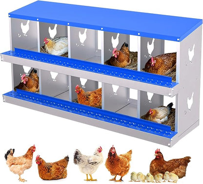 10-Compartment Chicken Nesting Box with Removable Tray - Metal Laying Boxes for Hens - Egg Rollaway Design, Wall Mount Farm Fresh Egg Collector, Hen Roosting Boxes for Chicken Coops