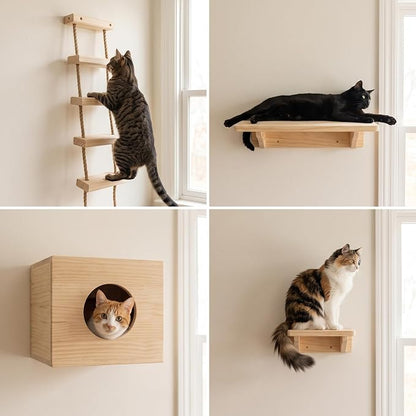 with Shelves for Climbing and Play, Small Jumping Platform