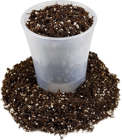 Gardenera Fern + Perlite Soil Mix for Repotting and Planting Succulents and Cactuses - 2 Quart Bag