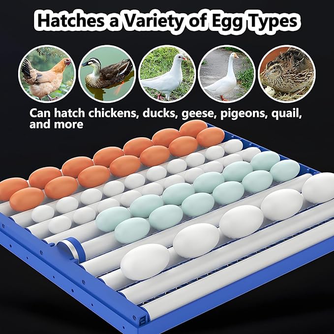 Poultry Pigeon & Game Bird Egg Incubators with Auto Turn & Smart Temp/Humidity Control & Egg Candler Poultry Hatcher Machine for Hatching Eggs Adjustable Rollers for Any Egg Size 340eggs