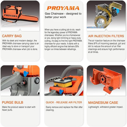 PROYAMA 62CC 2-Cycle Gas Powered Chainsaw, 22 Inch 18 Inch Handheld Cordless Petrol Chain Saw for Tree Wood Cutting