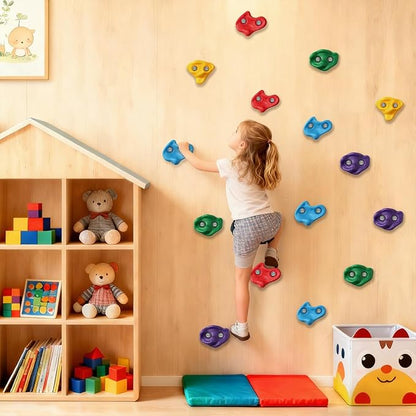 30 PCS Rock Climbing Holds for Kids,Adult Rock Wall Holds Large Climbing Rock Wall Grips for Indoor and Outdoor Playground Play Set with Hardware