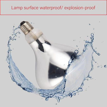 Incandescent R40 Reflector Infrared Lamp, Explosion Proof Clear Glass, with Teflon Coating, E26 Base, Heat Lamp Bulb 375W Special for Food Service Industry, 2 Pack (R40INCT)