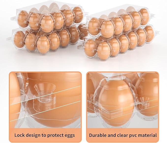 50 Pack Plastic Egg Cartons Cheap Bulk 12 Count Clear Blank Egg Containers for Refrigerator, Reusable Holder for Home Ranch Farm Commercial Market Display, Plastic Packaging for Craft Projects
