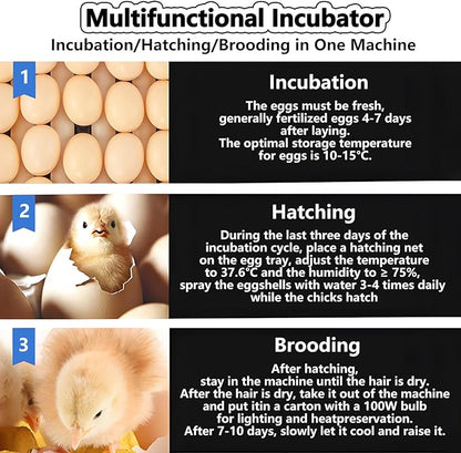 Poultry Pigeon & Game Bird Egg Incubators with Auto Turn & Smart Temp/Humidity Control & Egg Candler Poultry Hatcher Machine for Hatching Eggs Adjustable Rollers for Any Egg Size 340eggs