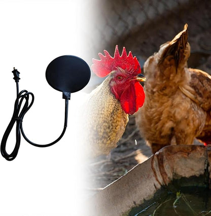 Bird Bath Heater, Chicken Water Heating for Outdoors Heavy Duty US Plug Silicone Rubber for Patio Yard Duck Winter,30W