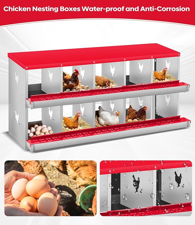 Chicken Nesting Box, 6/8/10 Compartment Metal Nesting Box,Wall Mount Chicken Nesting Boxes for Laying Eggs,Easy Egg Collection,6 Room Nest Boxes for Chickens