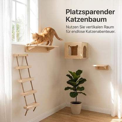 with Shelves for Climbing and Play, Cat House