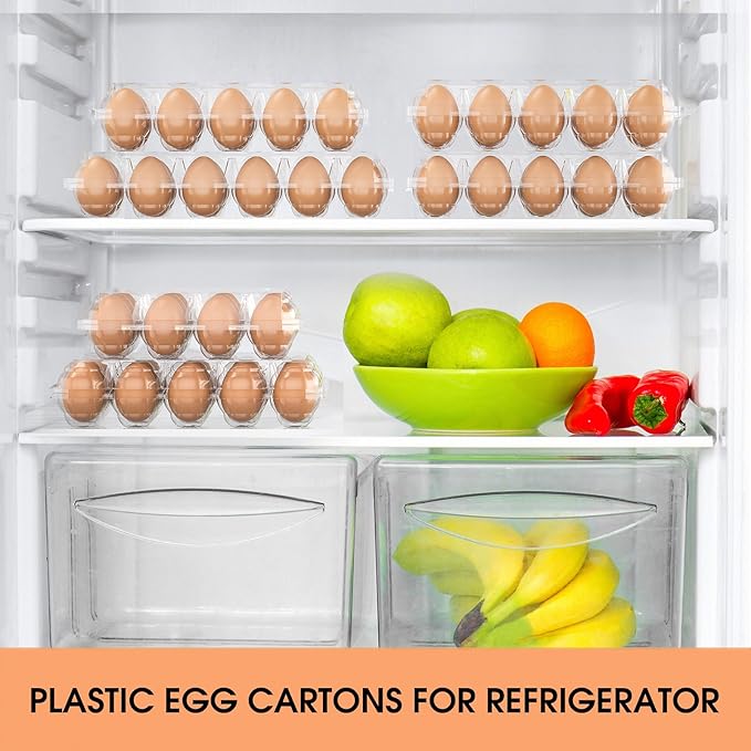 50 Pack Plastic Egg Cartons Cheap Bulk 12 Count Clear Blank Egg Containers for Refrigerator, Reusable Holder for Home Ranch Farm Commercial Market Display, Plastic Packaging for Craft Projects
