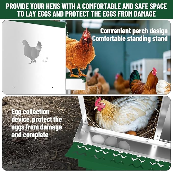 TrailBlaze Metal Chicken Nesting Boxes, Chicken Egg Laying Box with 6 Compartments, Large Vented Holes Chicken Coop with Rollout Egg Collection, Wall Mount Coops for Chickens, Hens (Green)