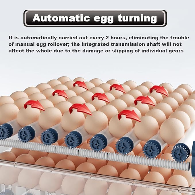 Home Incubator Egg Brooding Machine Chicken Incubator, 98 256 Eggs Incubator Automatic Turning and Hatching, Digital Incubator with Temperature Control,152,128