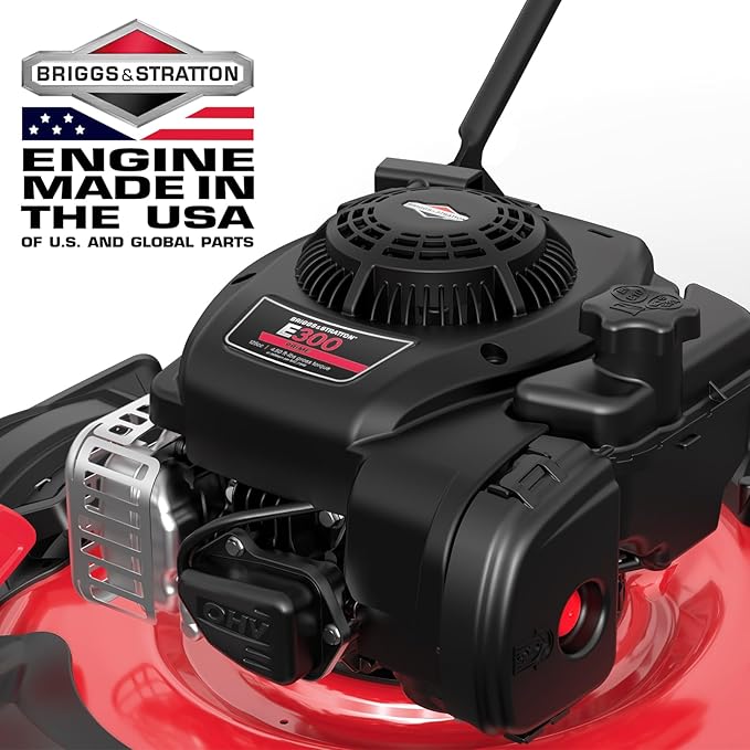 PowerSmart 21 in. Gas Lawn Mower with 125cc Briggs and Stratton E300 Engine, 2-in-1 Push Mower with Mulching & Side-Discharge