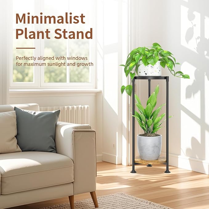 LASZOLA 2 Tier Black Plant Stand Indoor for Large Tall Heavy Duty Flower Planter, Metal Vertical Multi Level Rack for Narrow Floor Corner, Sturdy Round Holder Organizer, Modern, Mid Century, Farmhouse