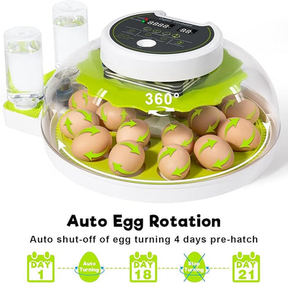 18 Egg Incubator with Automatic Turning & Humidity Control, 0.1 Precision for Chicken/Duck/Goose/Quail/Parrot Eggs (Green)