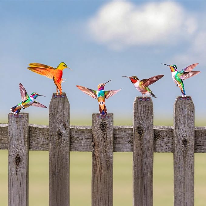 HUYIENO 5PCS Vibrant Metal Bird Decorations Colorful 2D Garden Fence Ornaments for Outdoor Patio & Bird Lovers Hummingbird