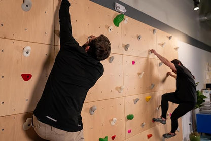 DIY Climbing Wall Panel – 47" x 23.5" Birch Plywood, Pre-Drilled T-Nuts, Textured & Paintable Surface – Indoor Home Gym & Kids Playroom Rock Wall Panel (Climbing Holds Not Included) (Natural)