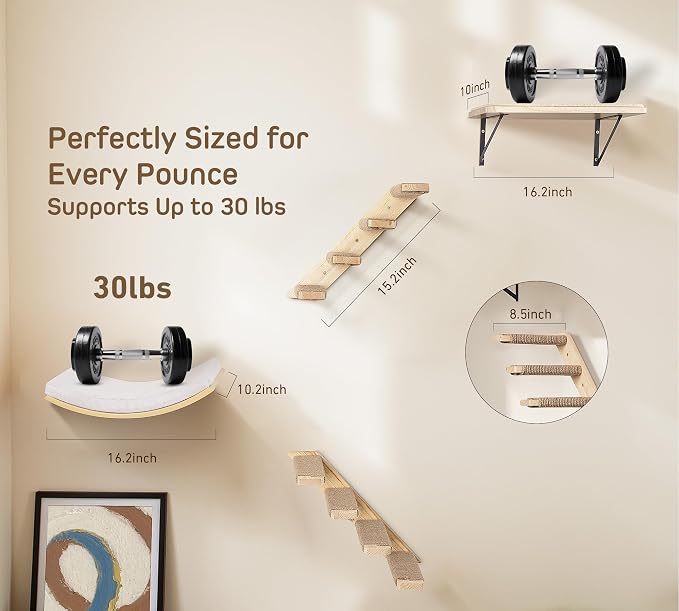 4-Piece Cats Wall Furniture with Cat Window Perch – Wood Wall Mounted Cat Shelves Set with Foam-Padded Curved Bed, Flat Perch & 4-Step Cats Stairs