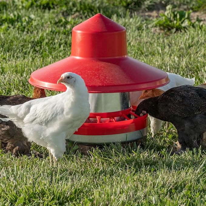Premier 1 Galvanized Cone Feeder for Chickens & Poultry - 22 lb Capacity (Feeder Kit)