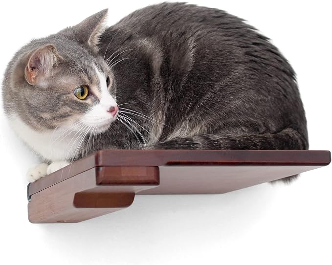 Catastrophic Creations Wooden Cat Step Floating Shelf (English Chestnut Bamboo)— Cat Wall Furniture for Indoor Cat — Platform Climber Wooden Cat Shelves —Playing & Jumping — Cat Wall Shelves